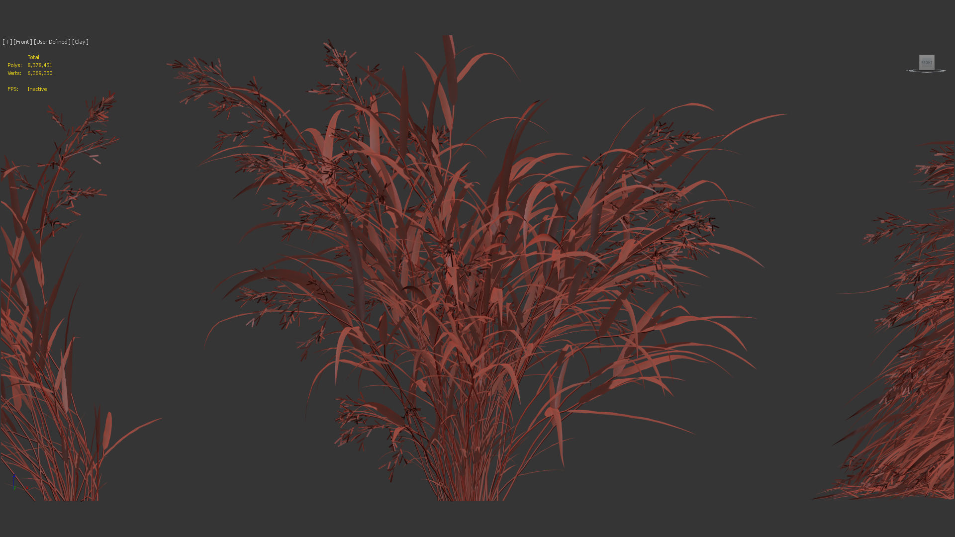 Hakonechloa macra Japanese forest grass 3D model_10