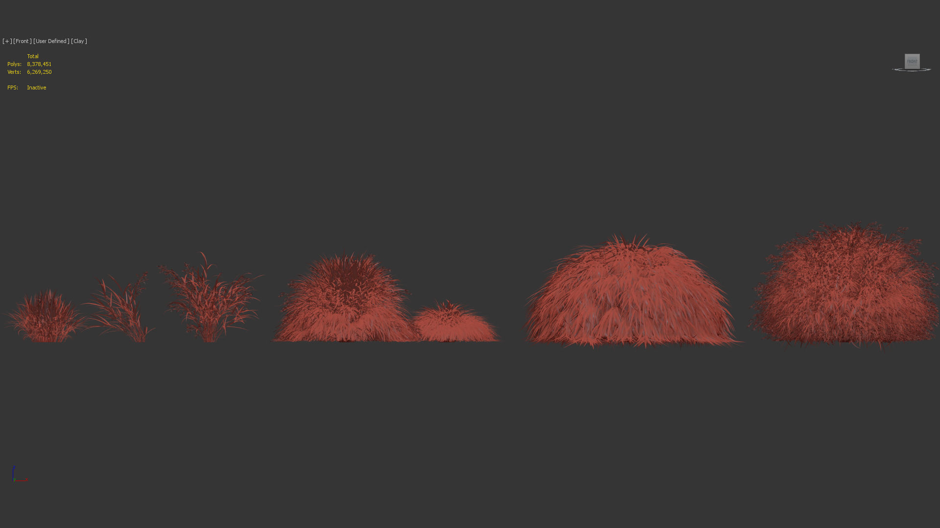 Hakonechloa macra Japanese forest grass 3D model_9