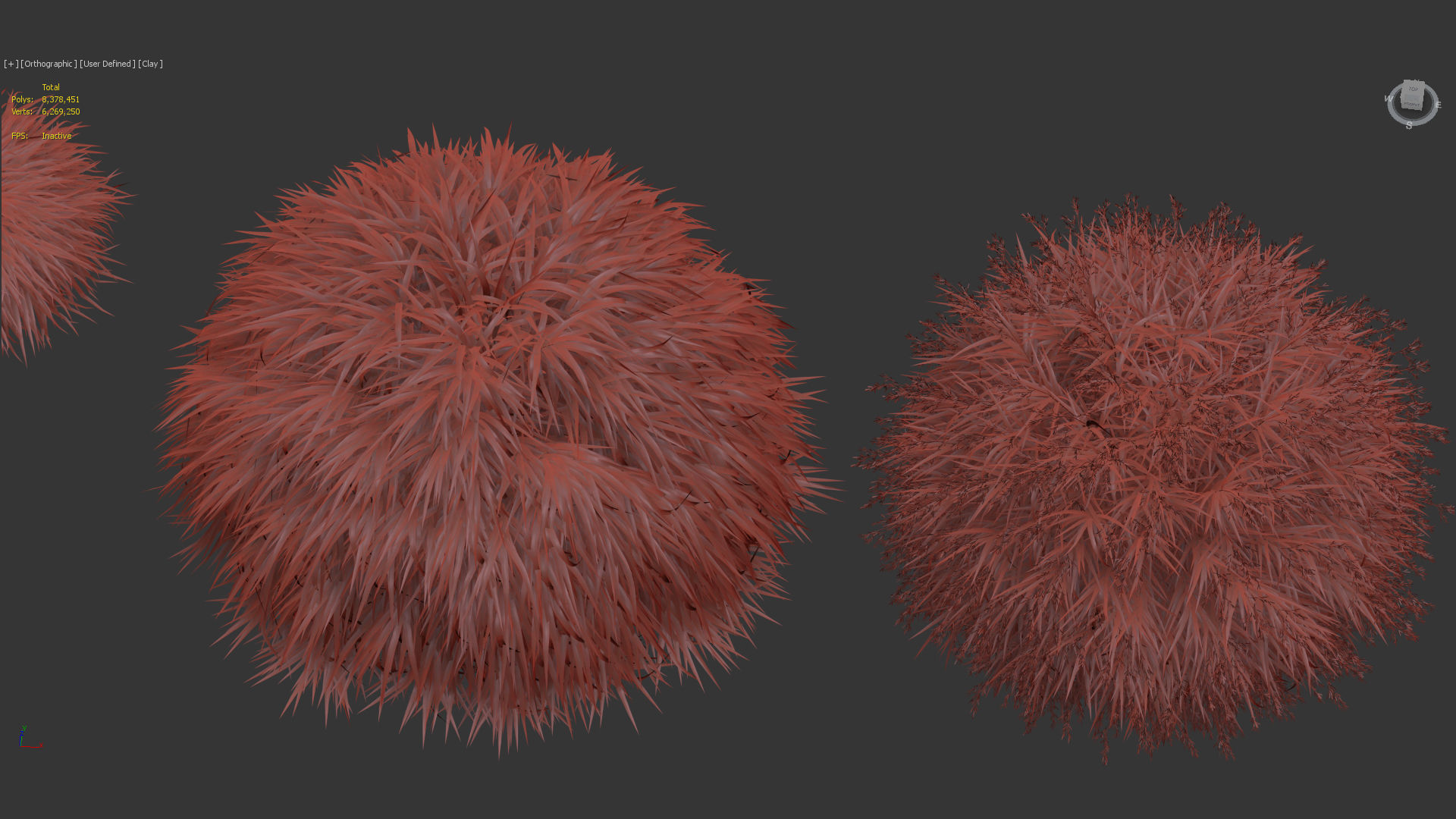 Hakonechloa macra Japanese forest grass 3D model_12