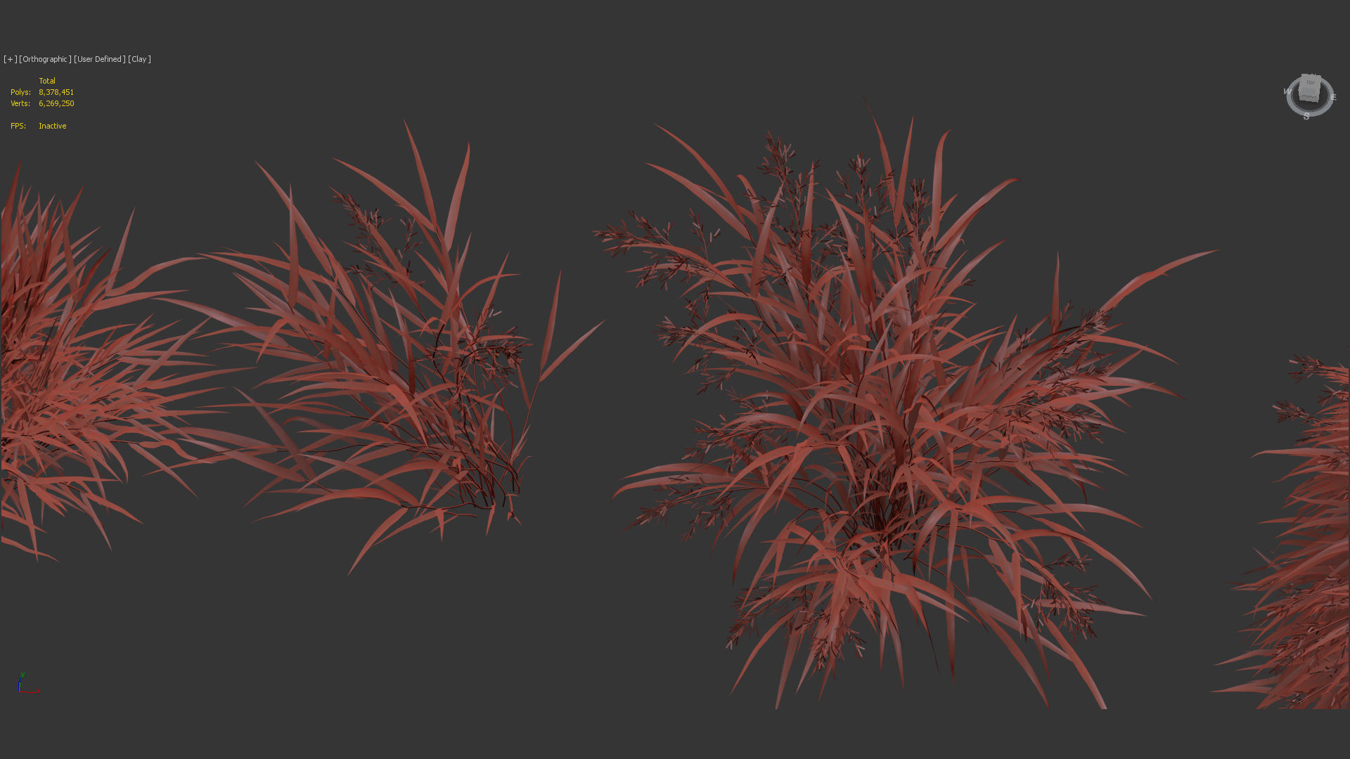Hakonechloa macra Japanese forest grass 3D model_11