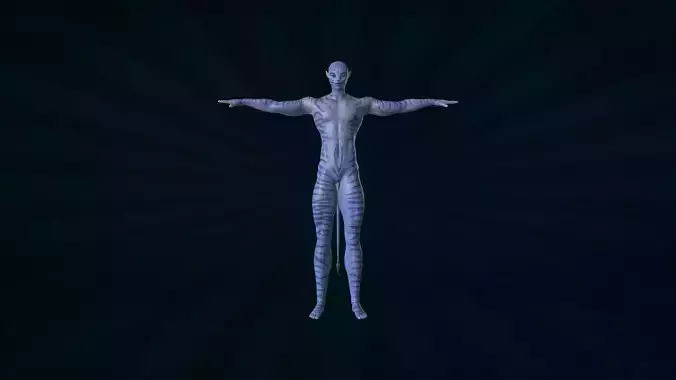 AVTR-001 Rigged Avatar