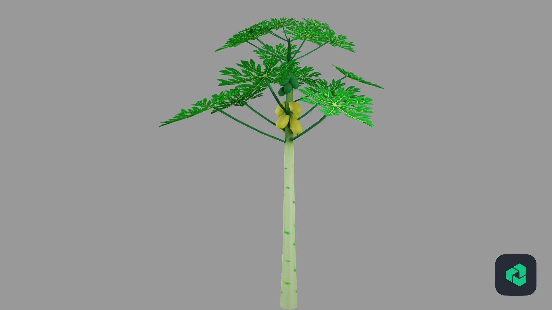 Papaya Low-poly 3D model_1