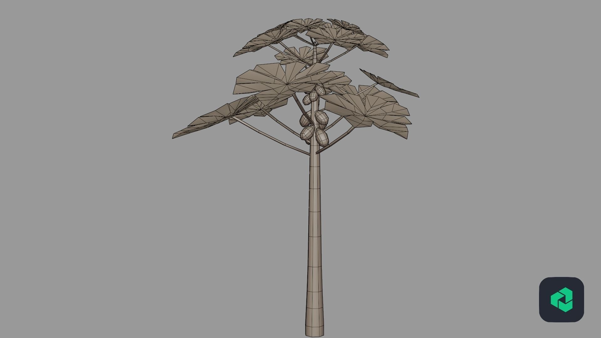 Papaya Low-poly 3D model_2