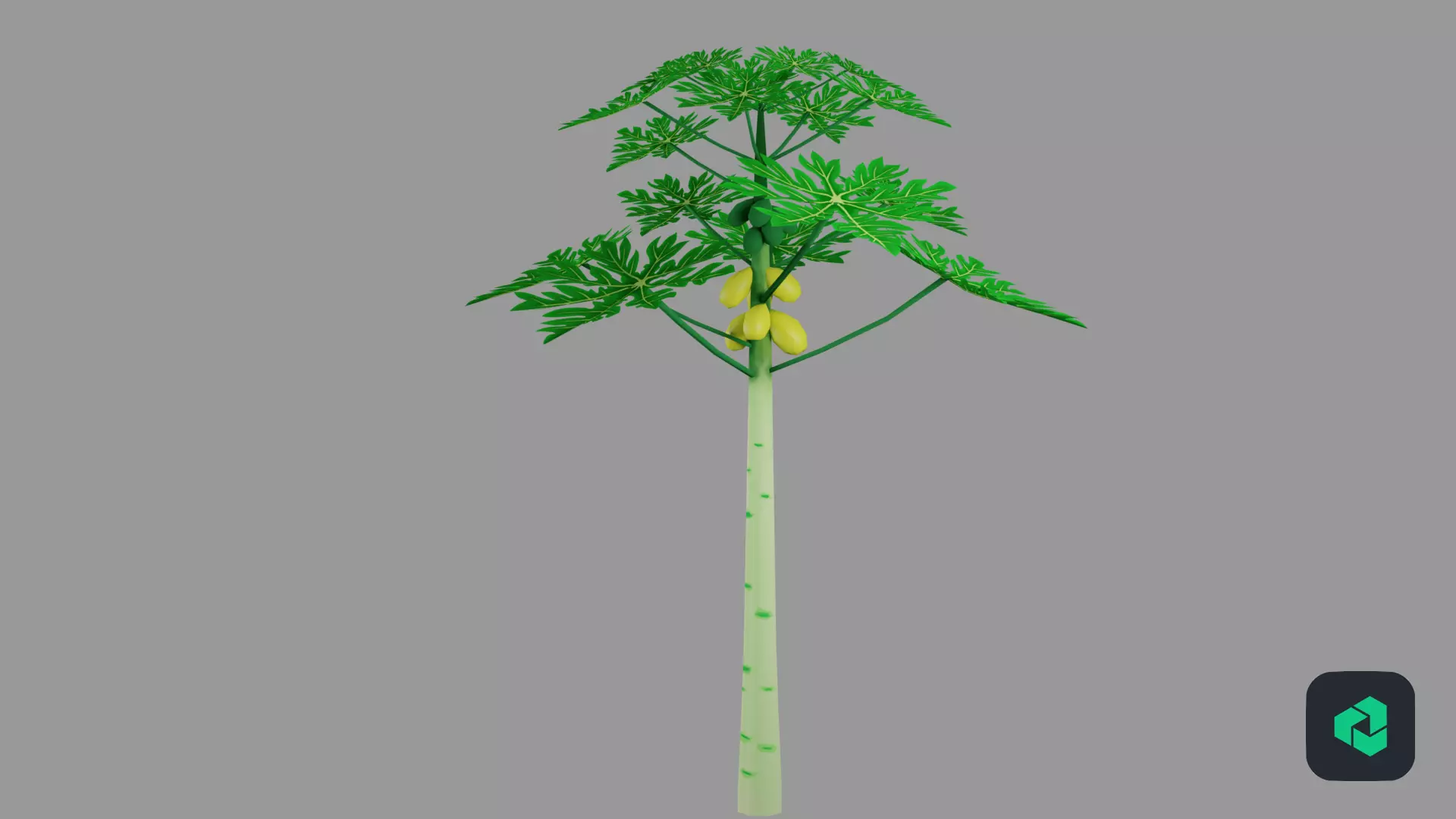 Papaya Low-poly 3D model_0