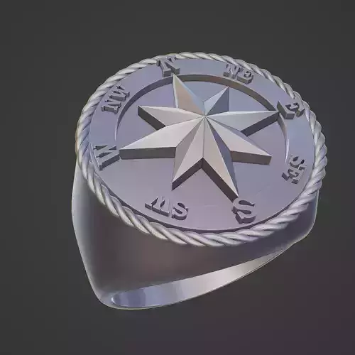 Brujula con puntos cadinales