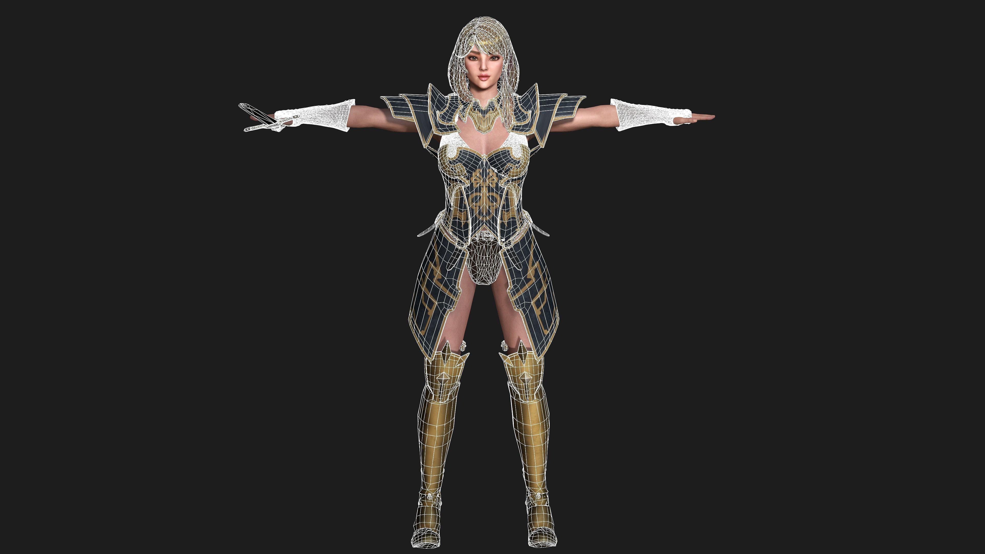 AAA 3D FANTASY FEMALE WARIOR KNIGHT-REALISTIC RIG GAME CHARACTER Low-poly 3D model_23