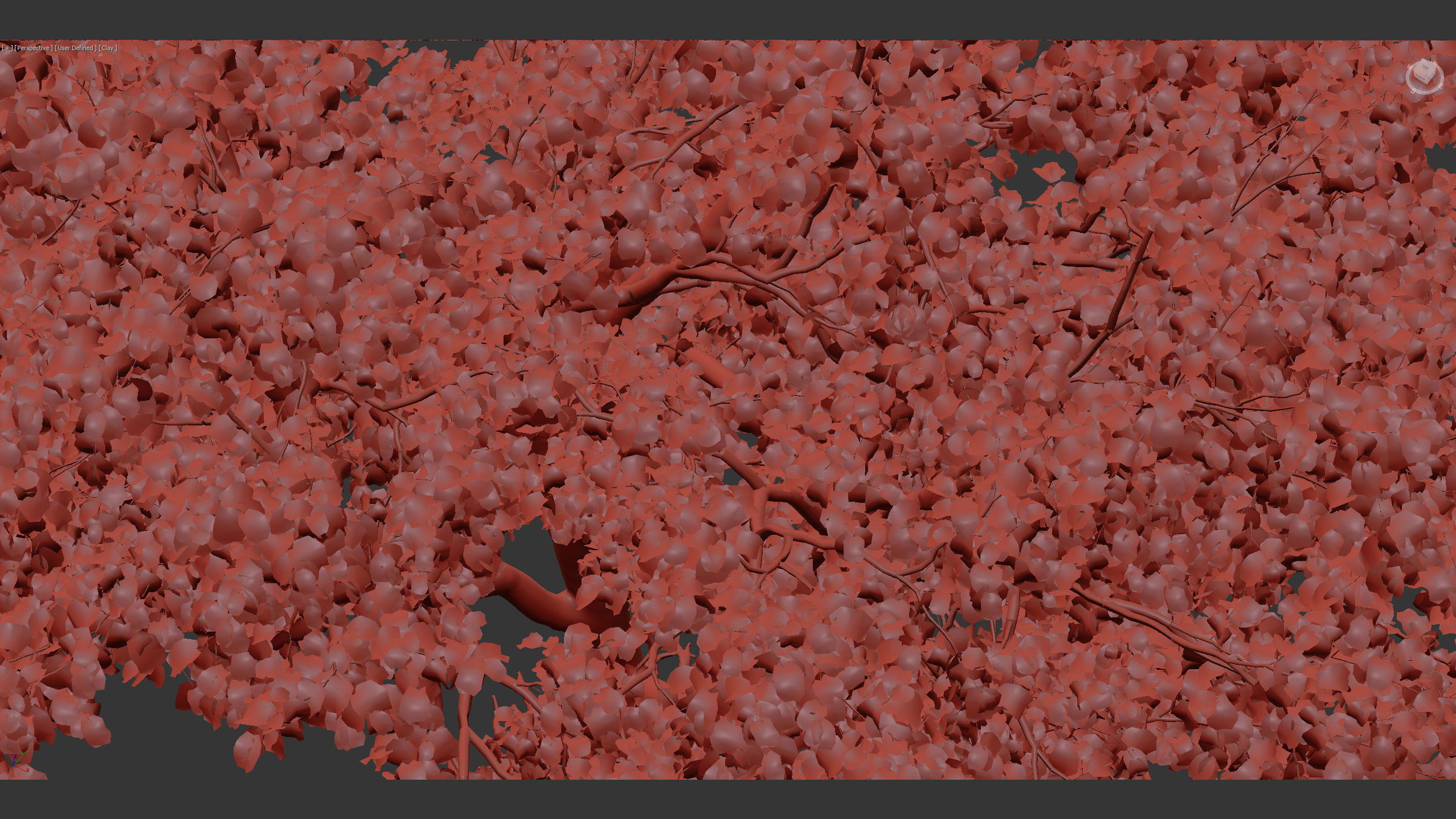 Platanus acerifolia London Plane 02 3D model_12