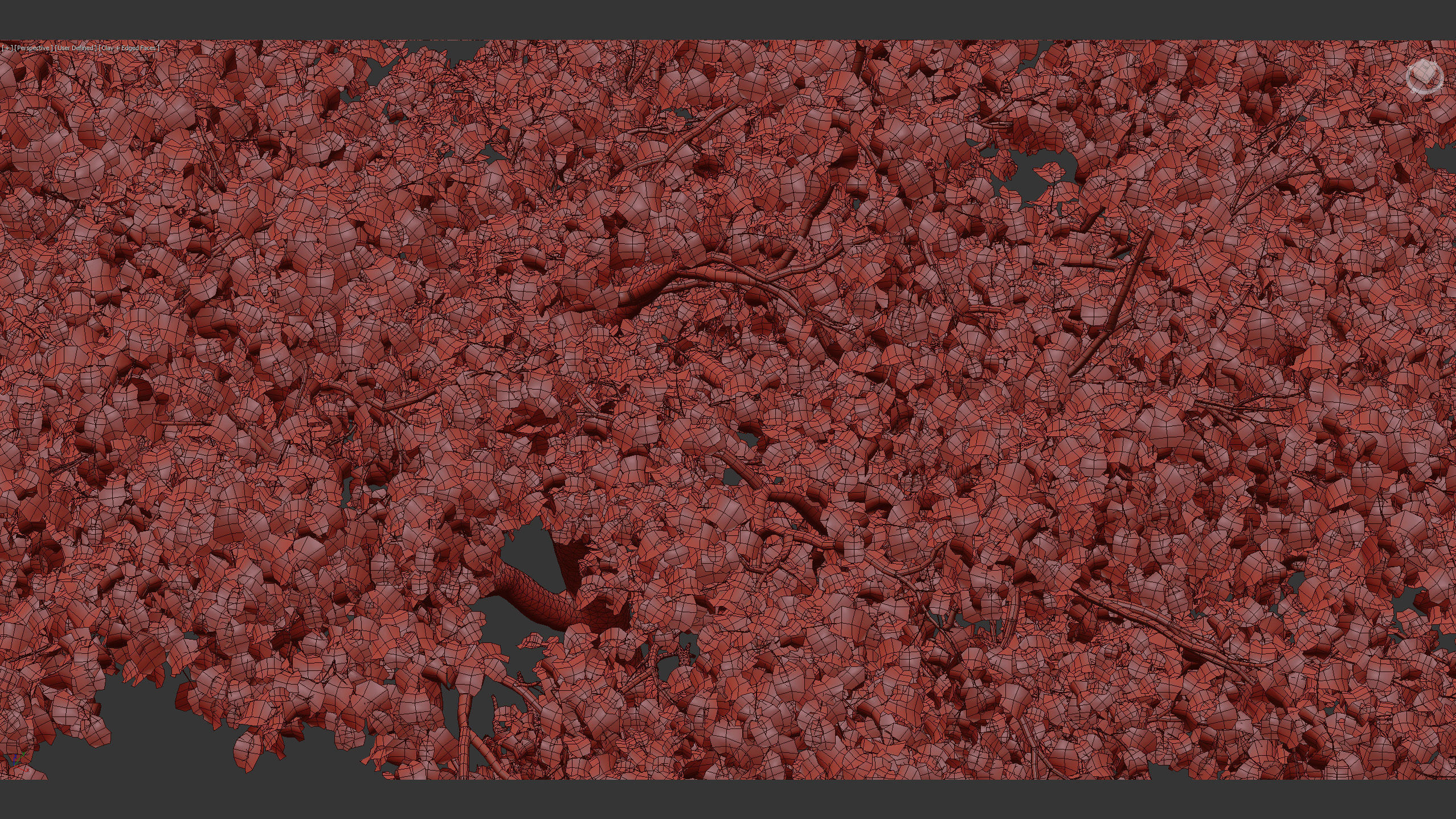 Platanus acerifolia London Plane 02 3D model_13