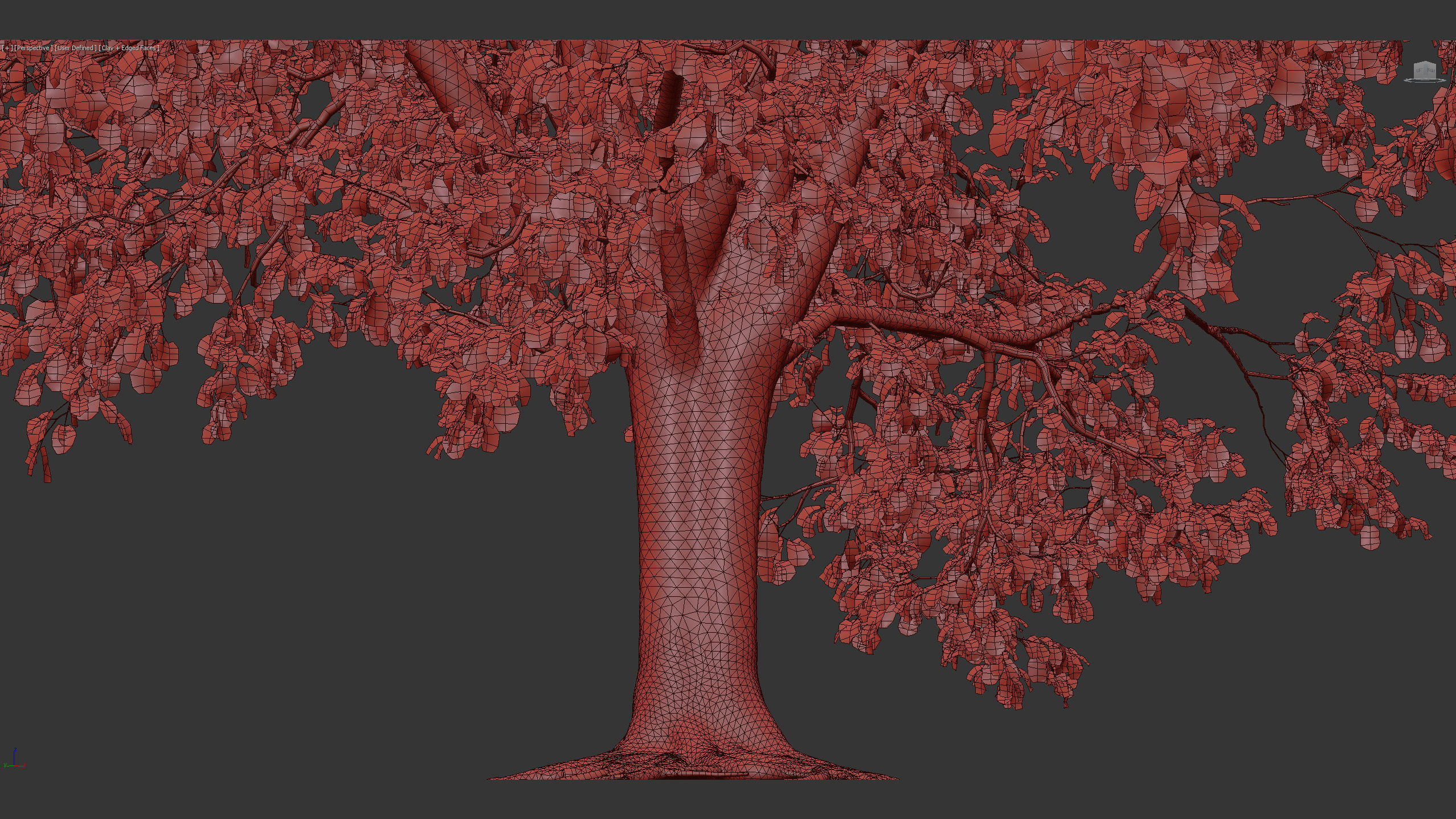 Platanus acerifolia London Plane 02 3D model_11