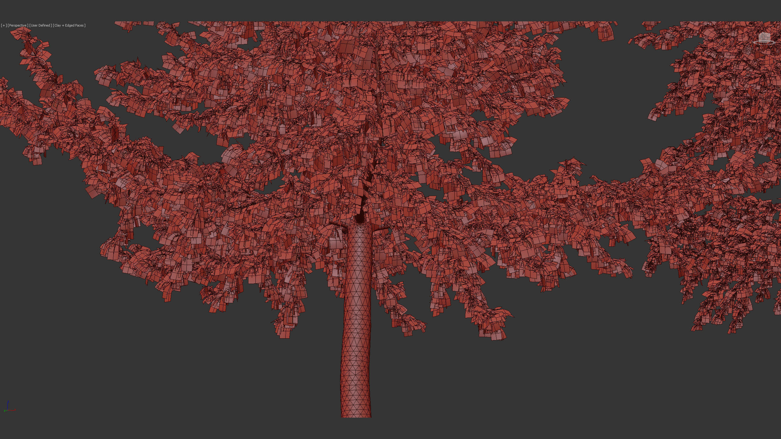 Ginkgo biloba Maidenhair trees 01 3D model_11