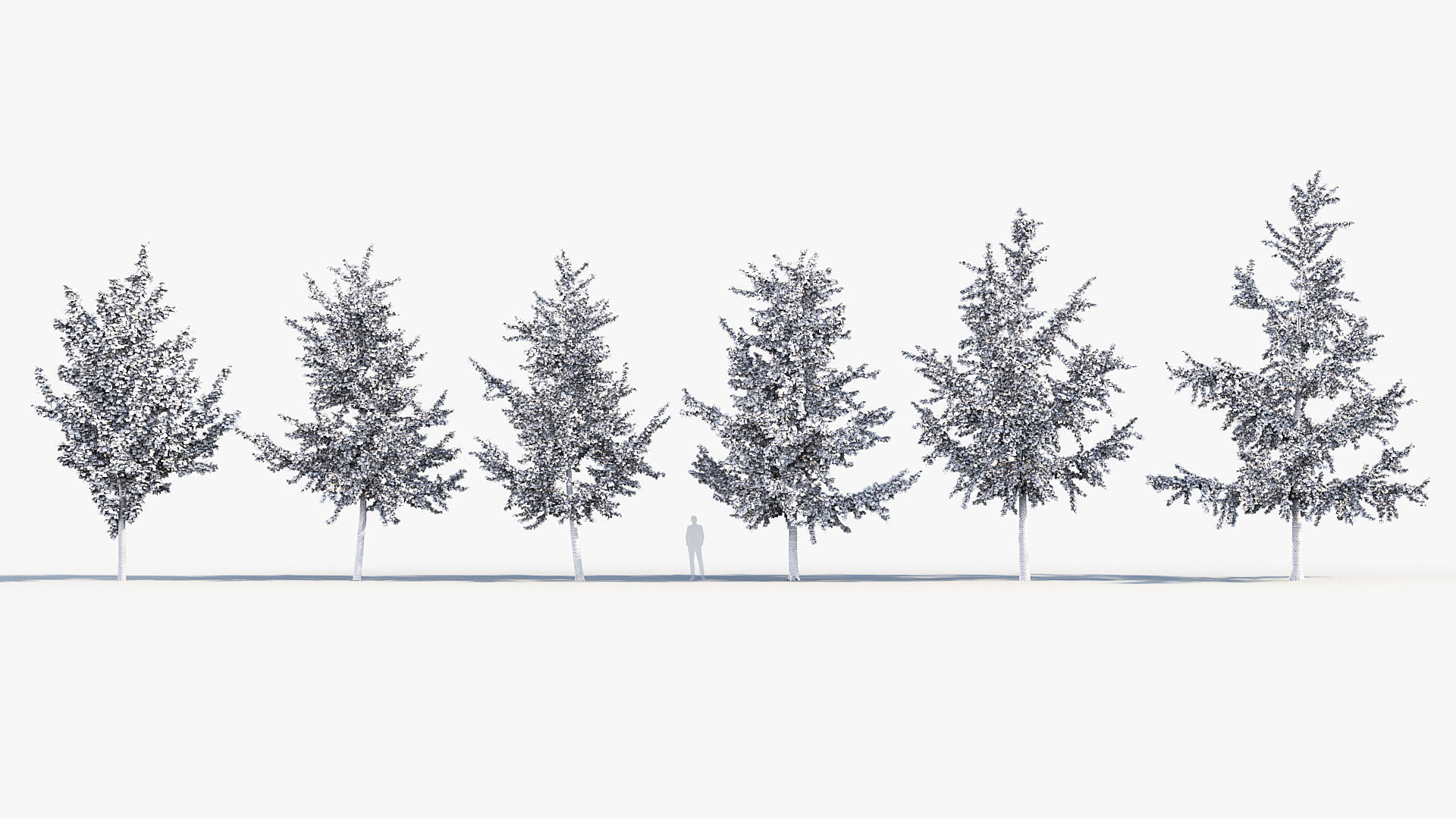 Ginkgo biloba Maidenhair trees 01 3D model_8