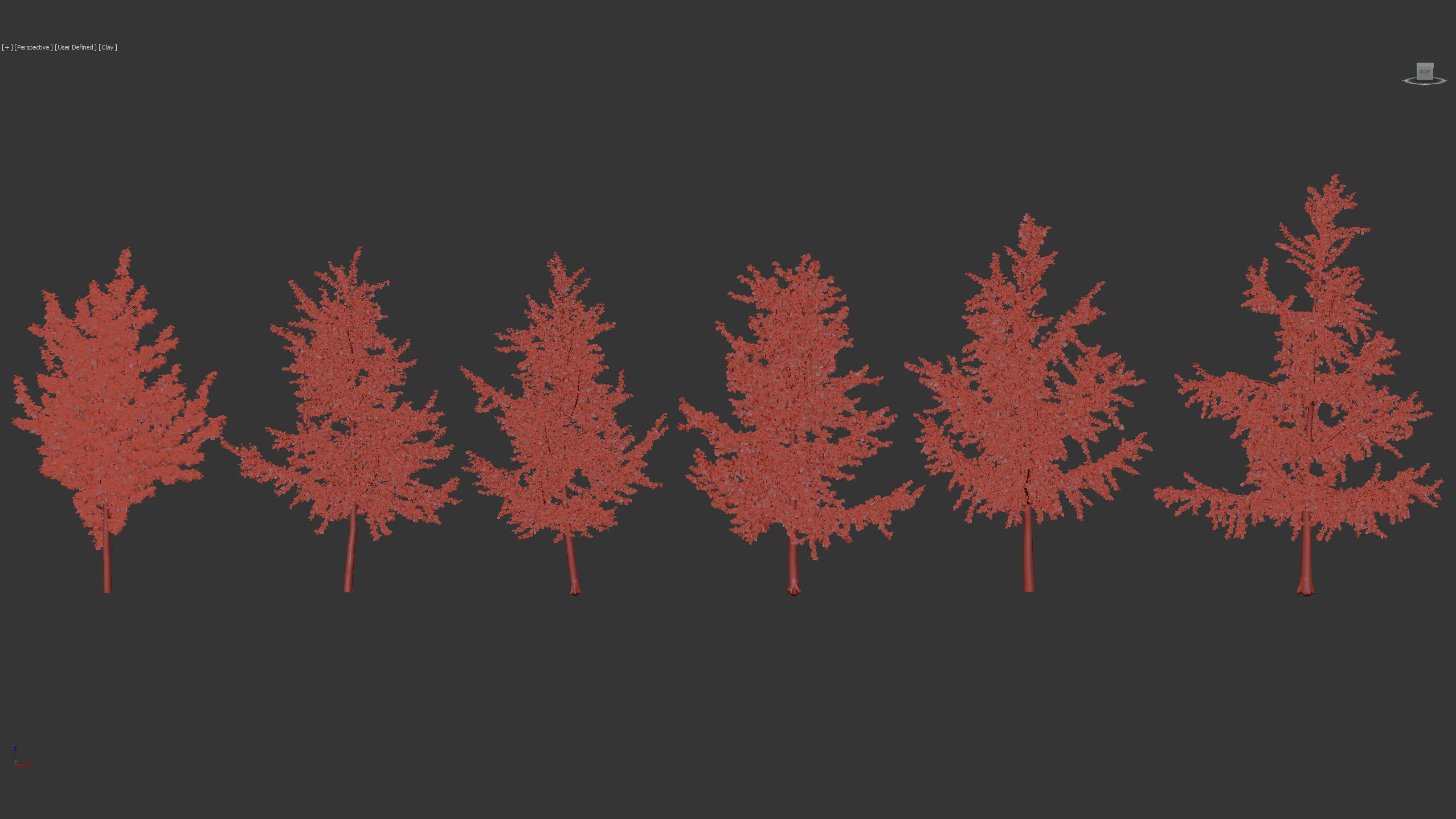 Ginkgo biloba Maidenhair trees 01 3D model_9