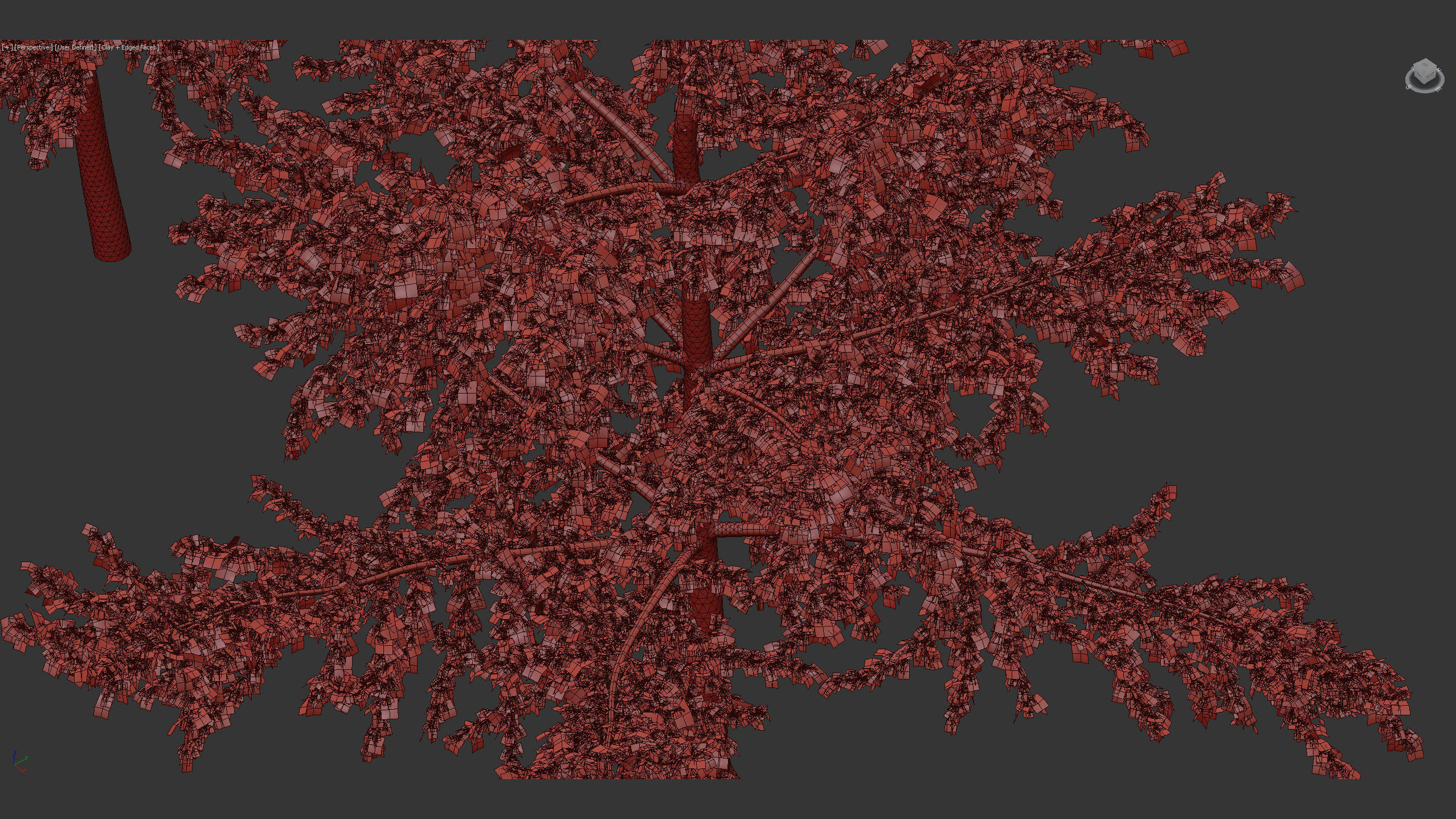 Ginkgo biloba Maidenhair trees 01 3D model_13