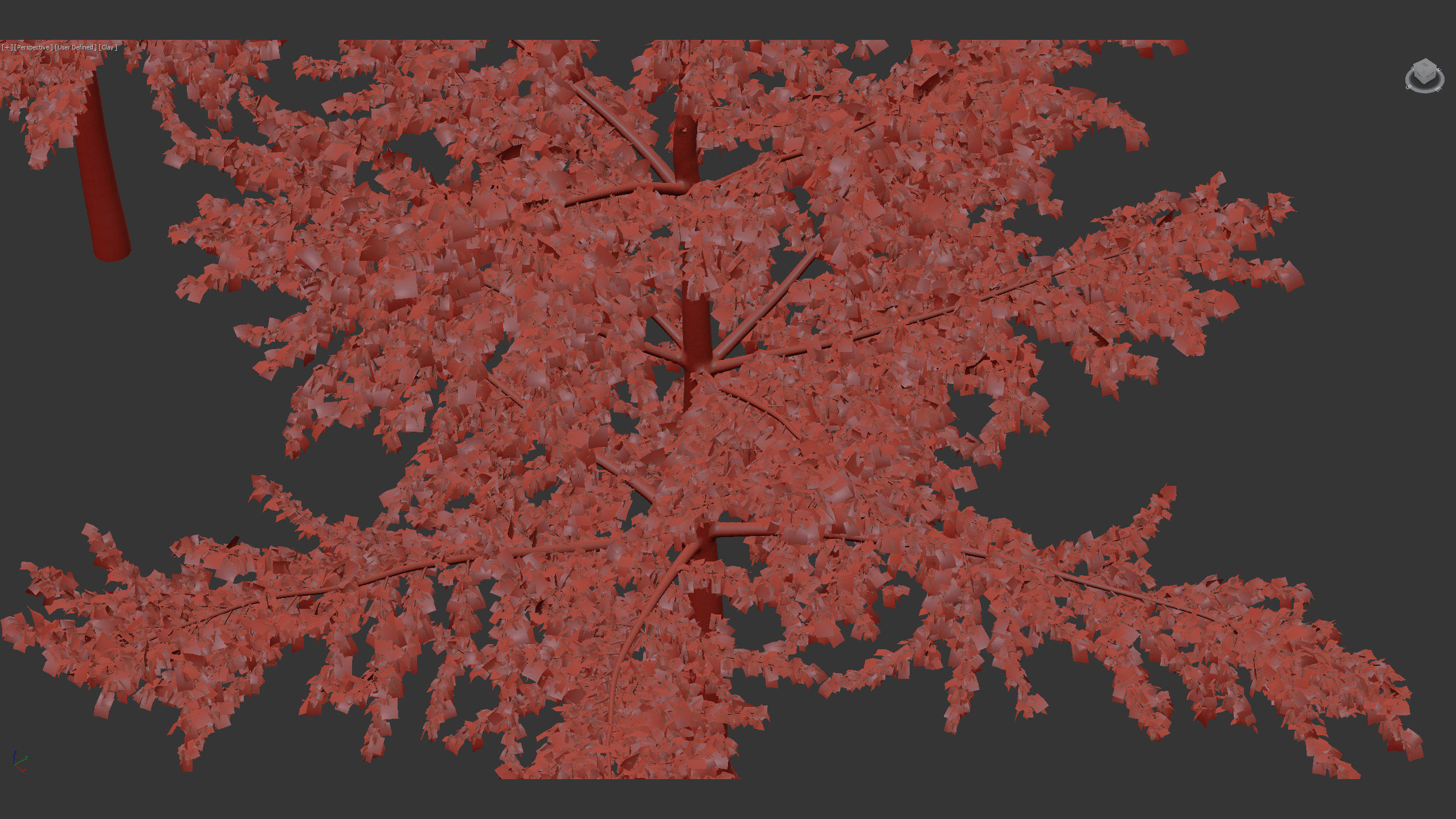 Ginkgo biloba Maidenhair trees 01 3D model_12