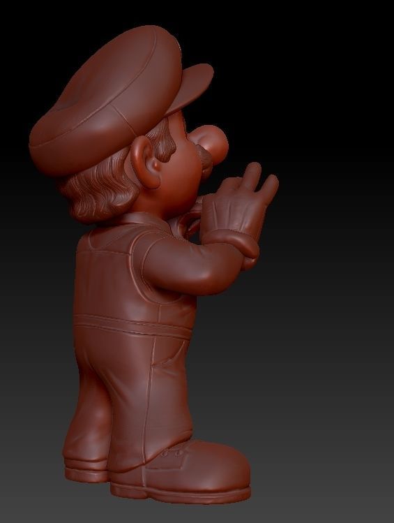 Super Mario Bros  3D print model_3