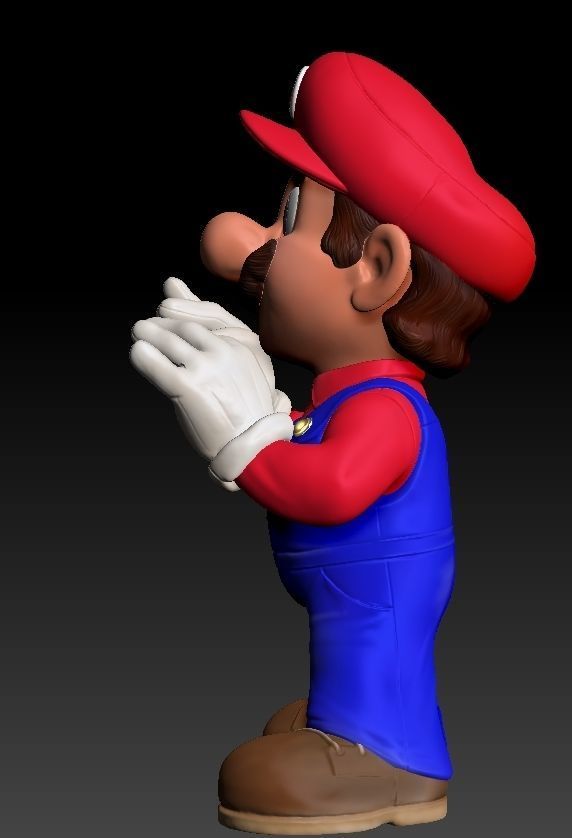 Super Mario Bros  3D print model_9