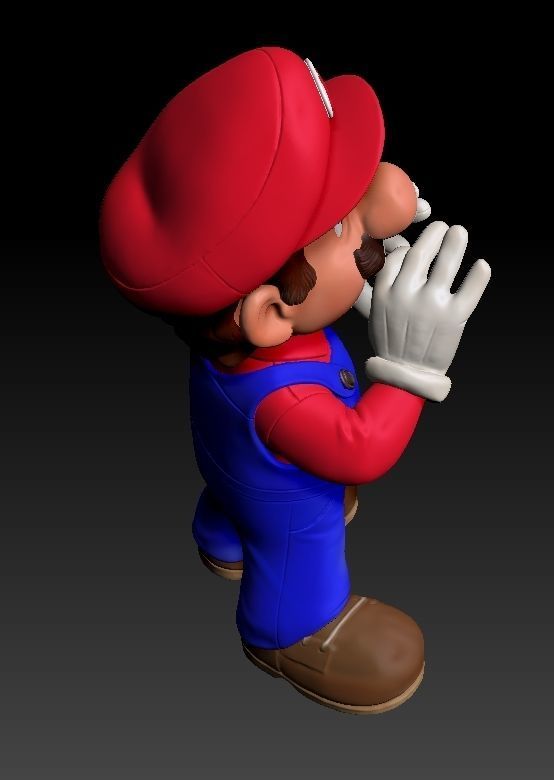 Super Mario Bros  3D print model_11