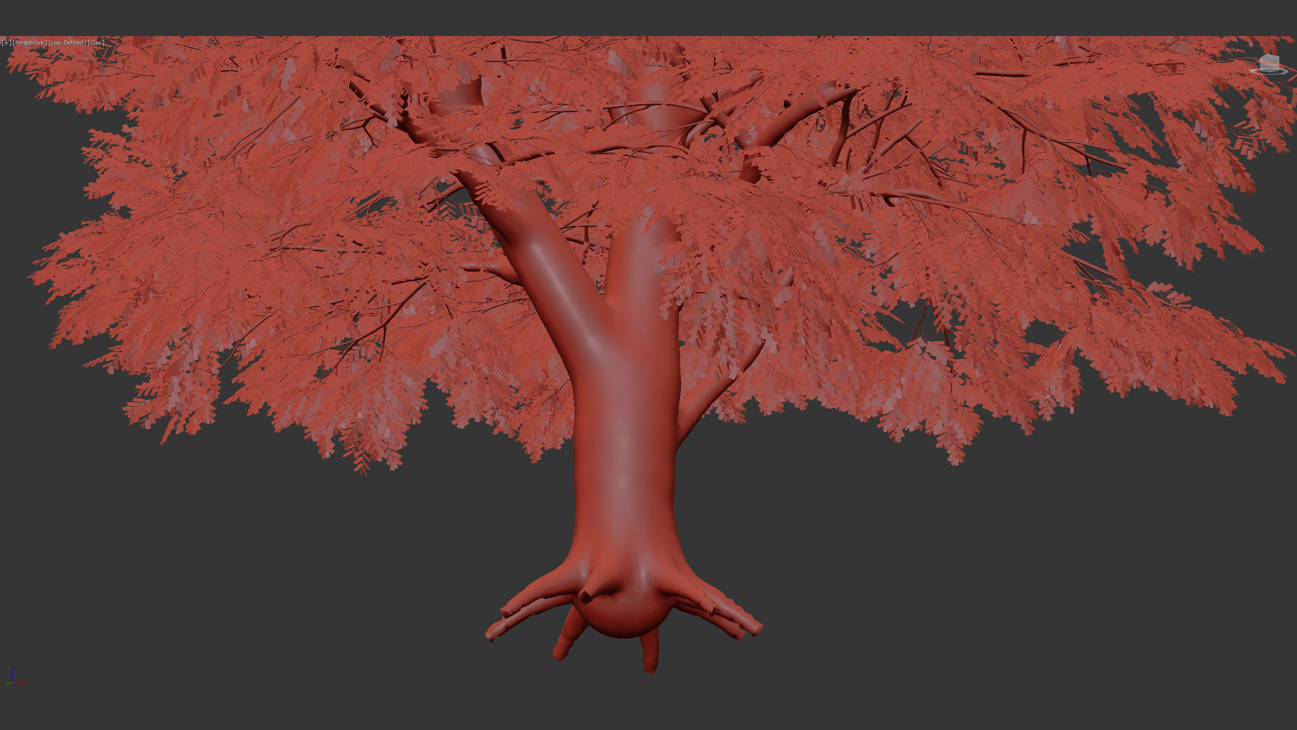 Fagus sylvatica European beech 3D model_10