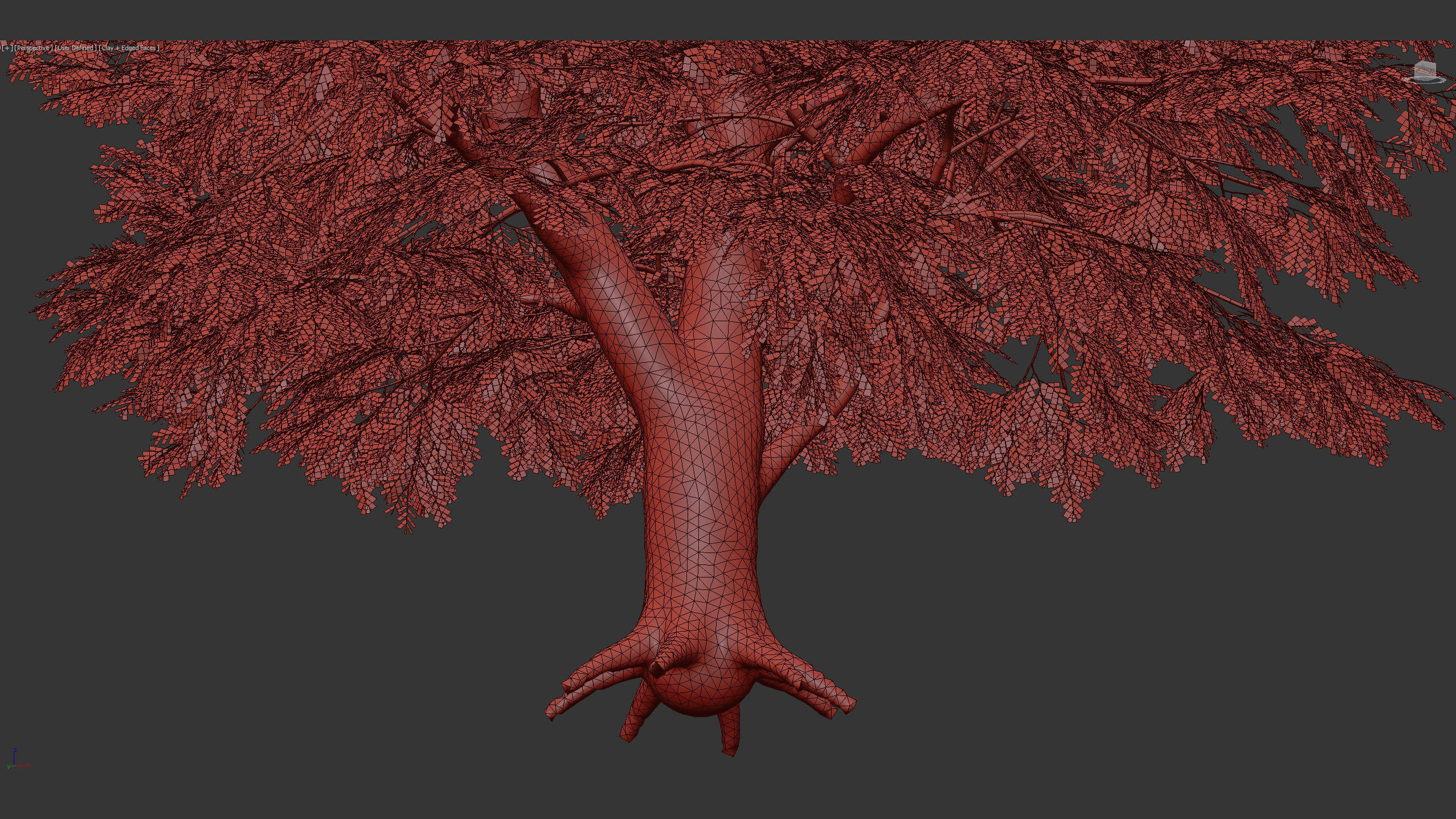 Fagus sylvatica European beech 3D model_11