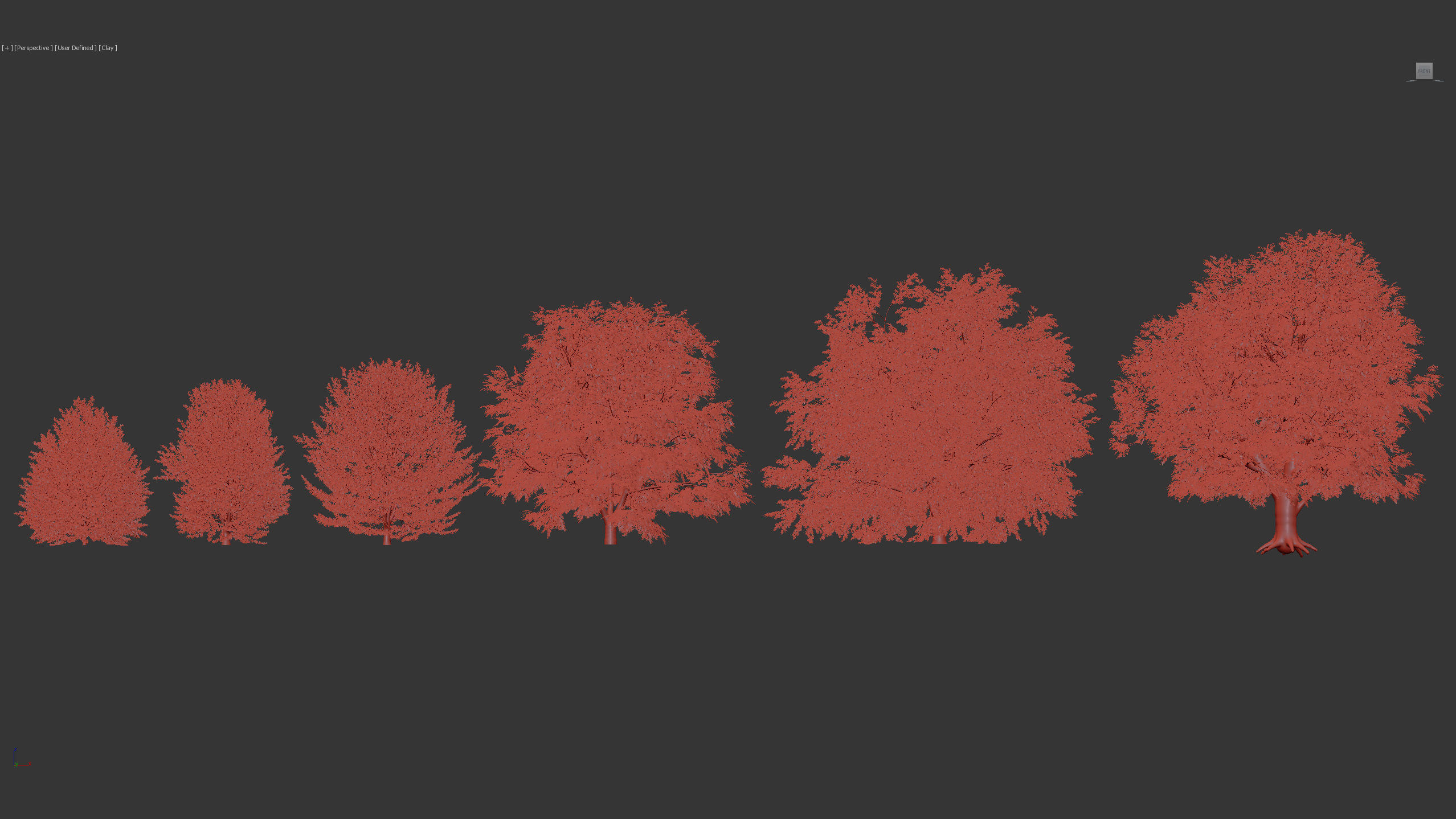 Fagus sylvatica European beech 3D model_9