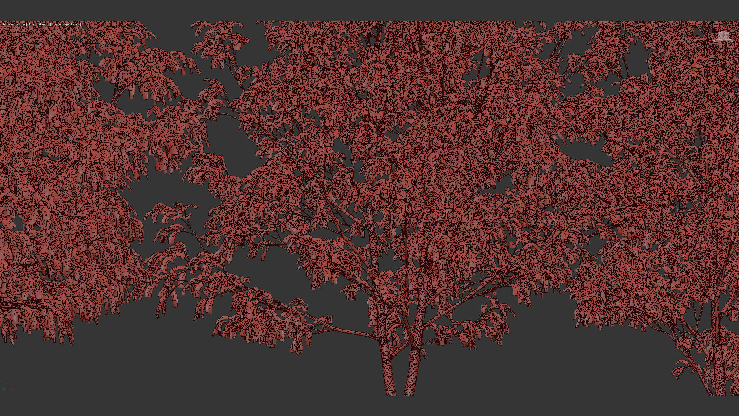 Celtis australis European nettle tree 01 3D model_11
