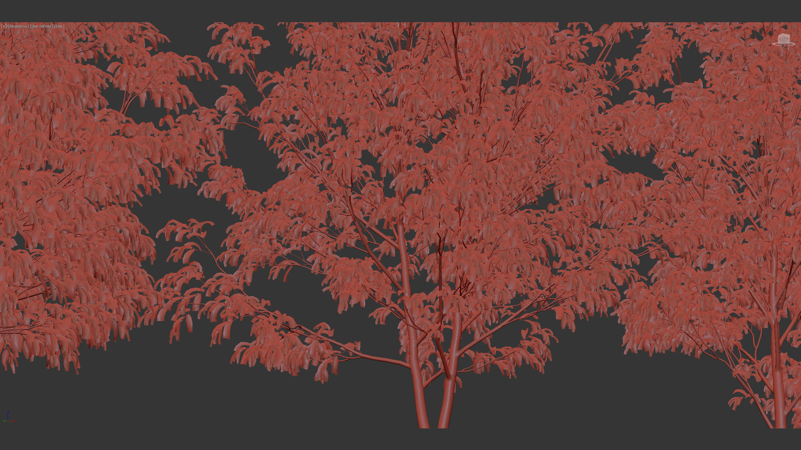 Celtis australis European nettle tree 01 3D model_10