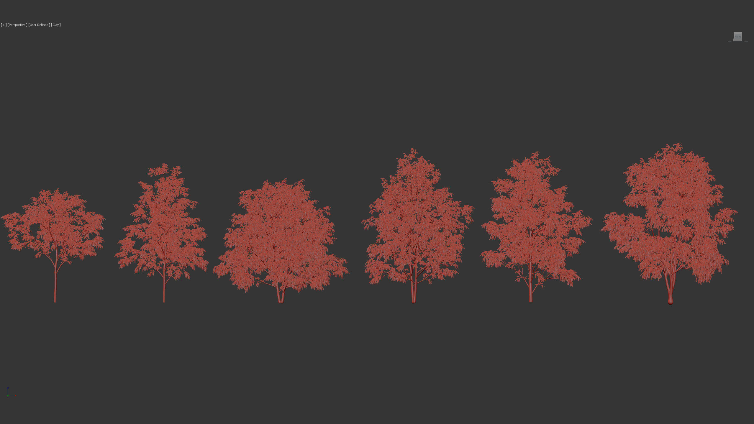 Celtis australis European nettle tree 01 3D model_9