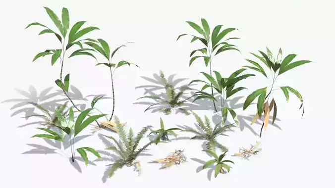Tropical Climbing Plants Set 01 Low-poly 3D model