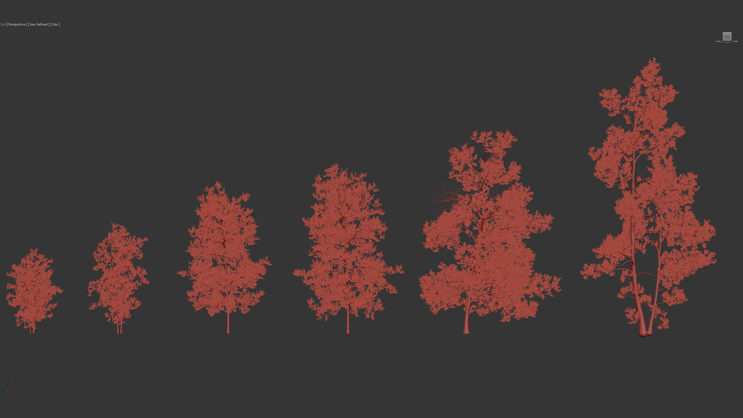 Alnus glutinosa Black alder 01 3D model_9