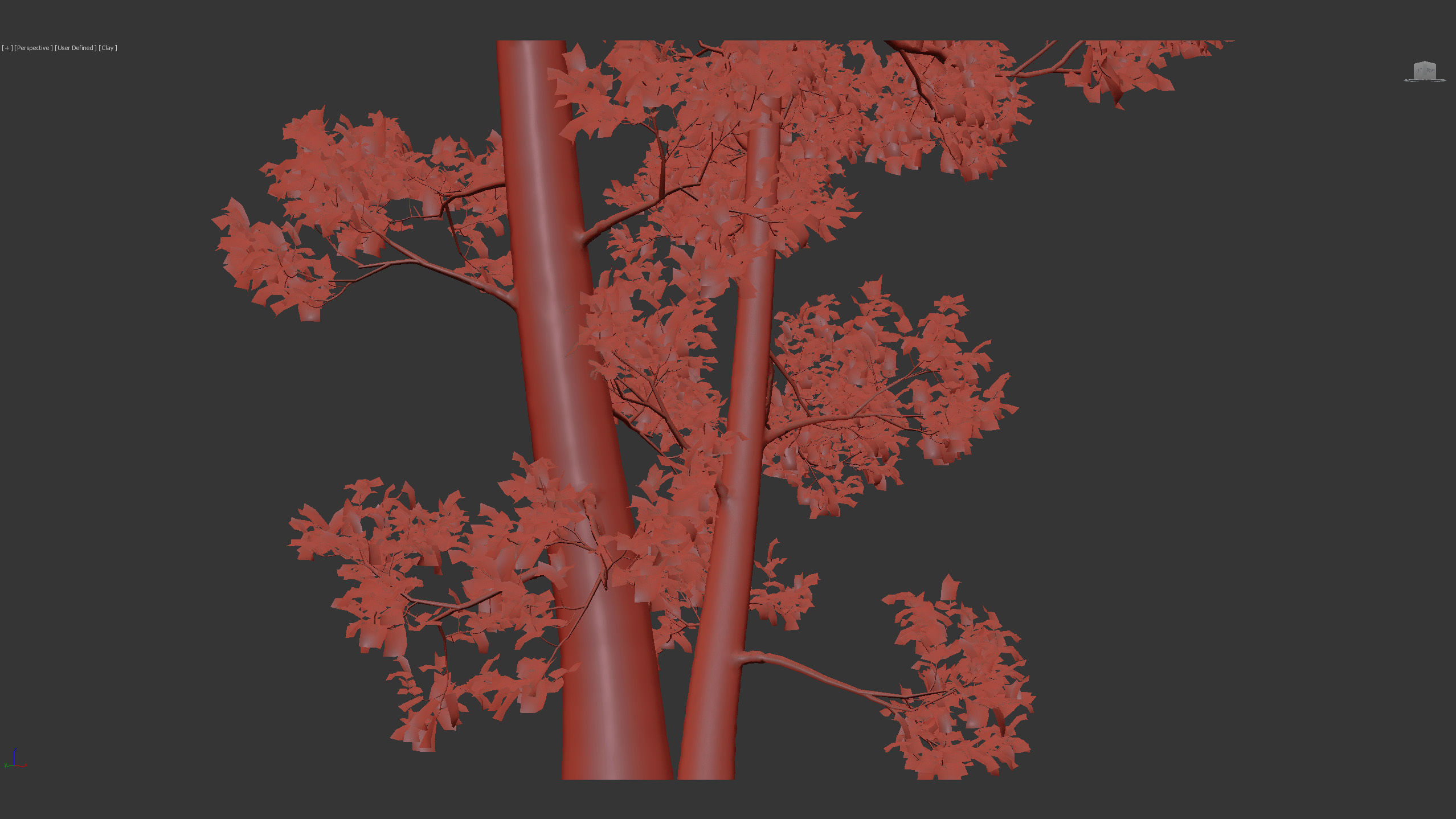 Alnus glutinosa Black alder 01 3D model_12