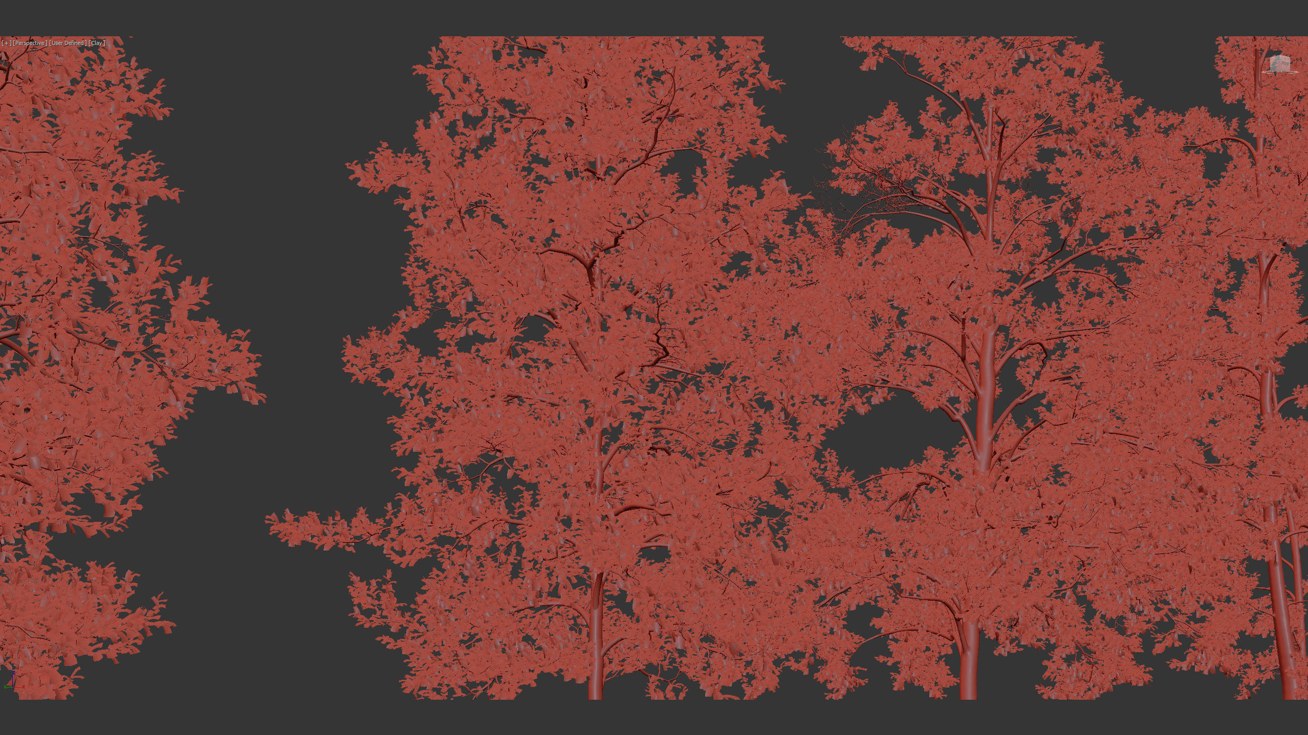 Alnus glutinosa Black alder 01 3D model_10