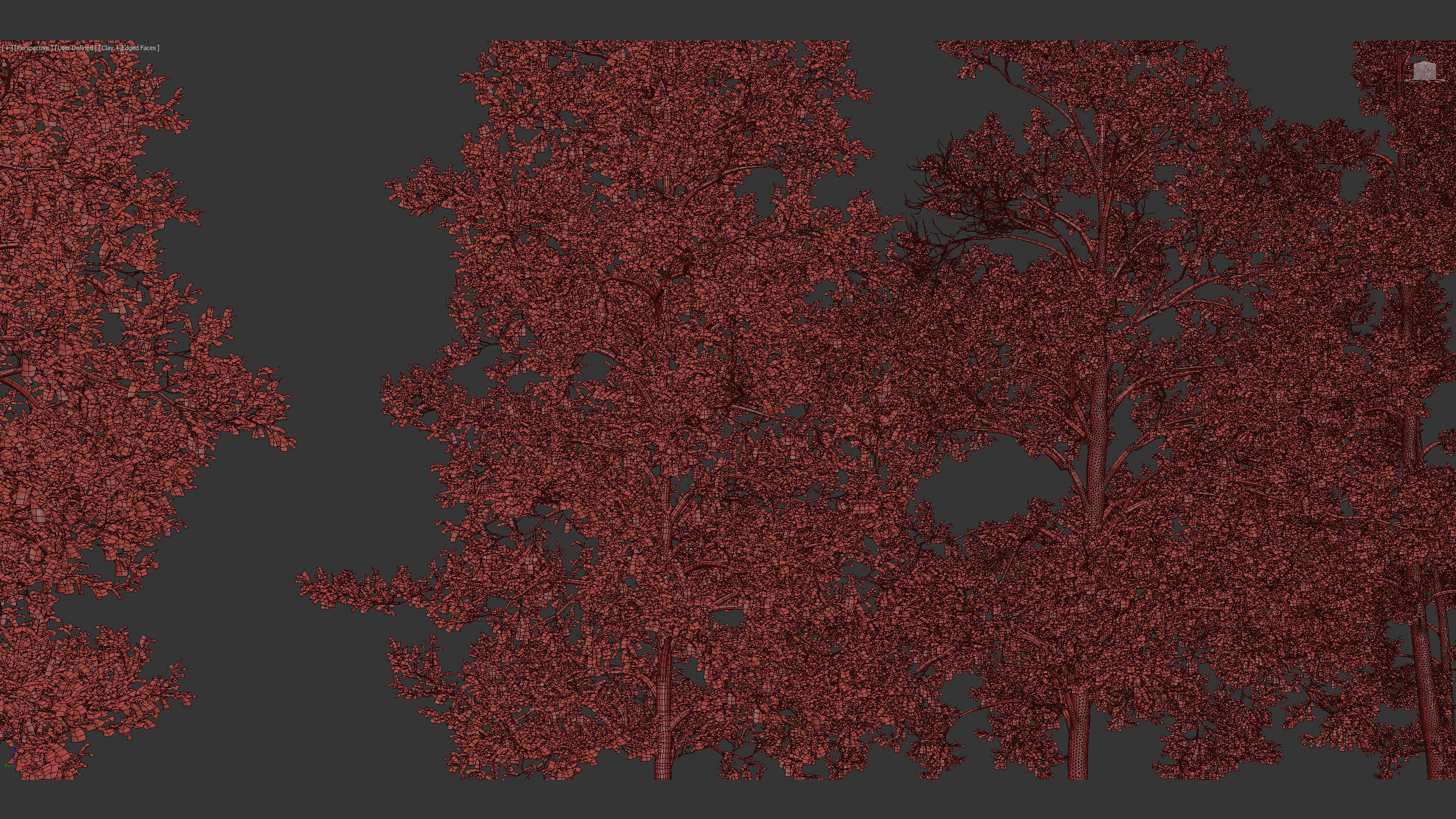 Alnus glutinosa Black alder 01 3D model_11