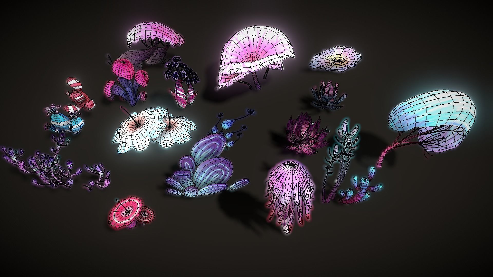 Cartoon Seaweed Collections _55