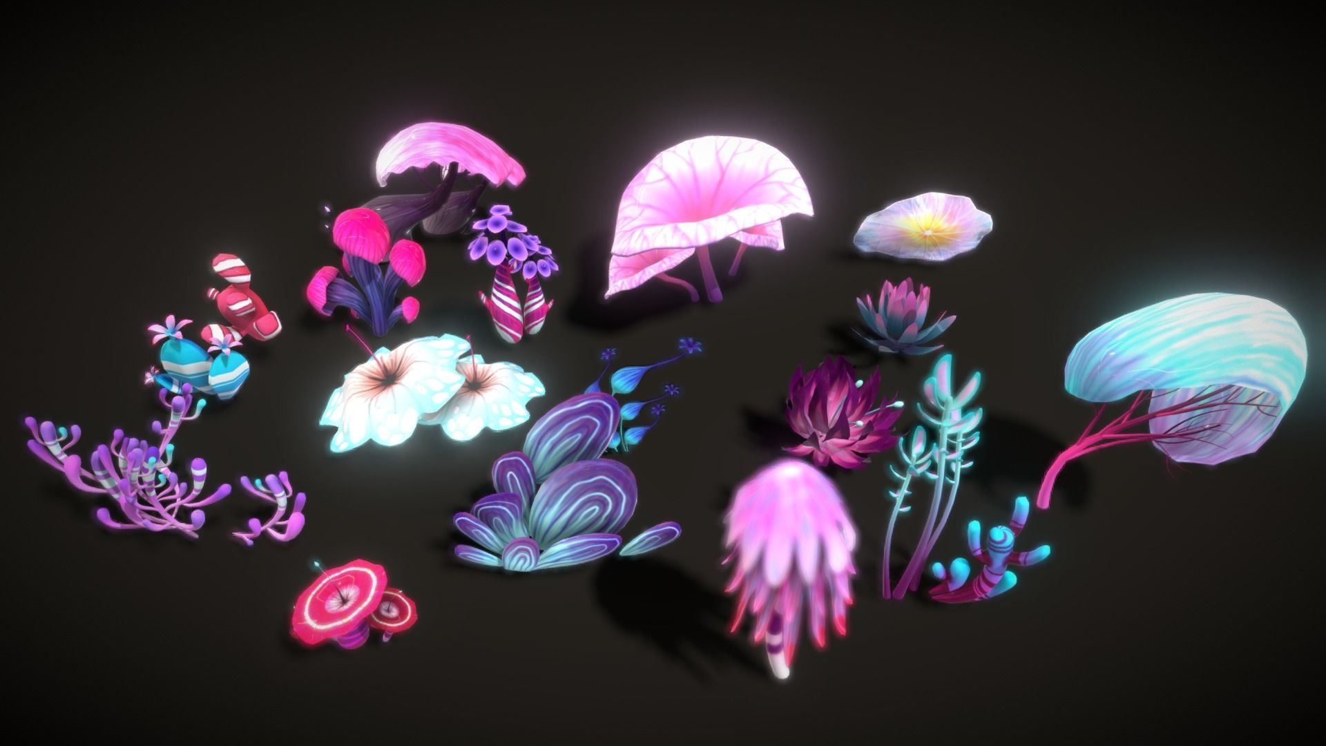 Cartoon Seaweed Collections _54