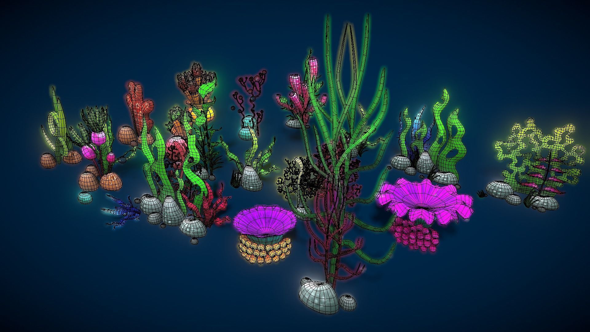 Cartoon Seaweed Collections _33