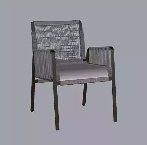 Holly Hunt - Outdoor Caracal Dining Chair