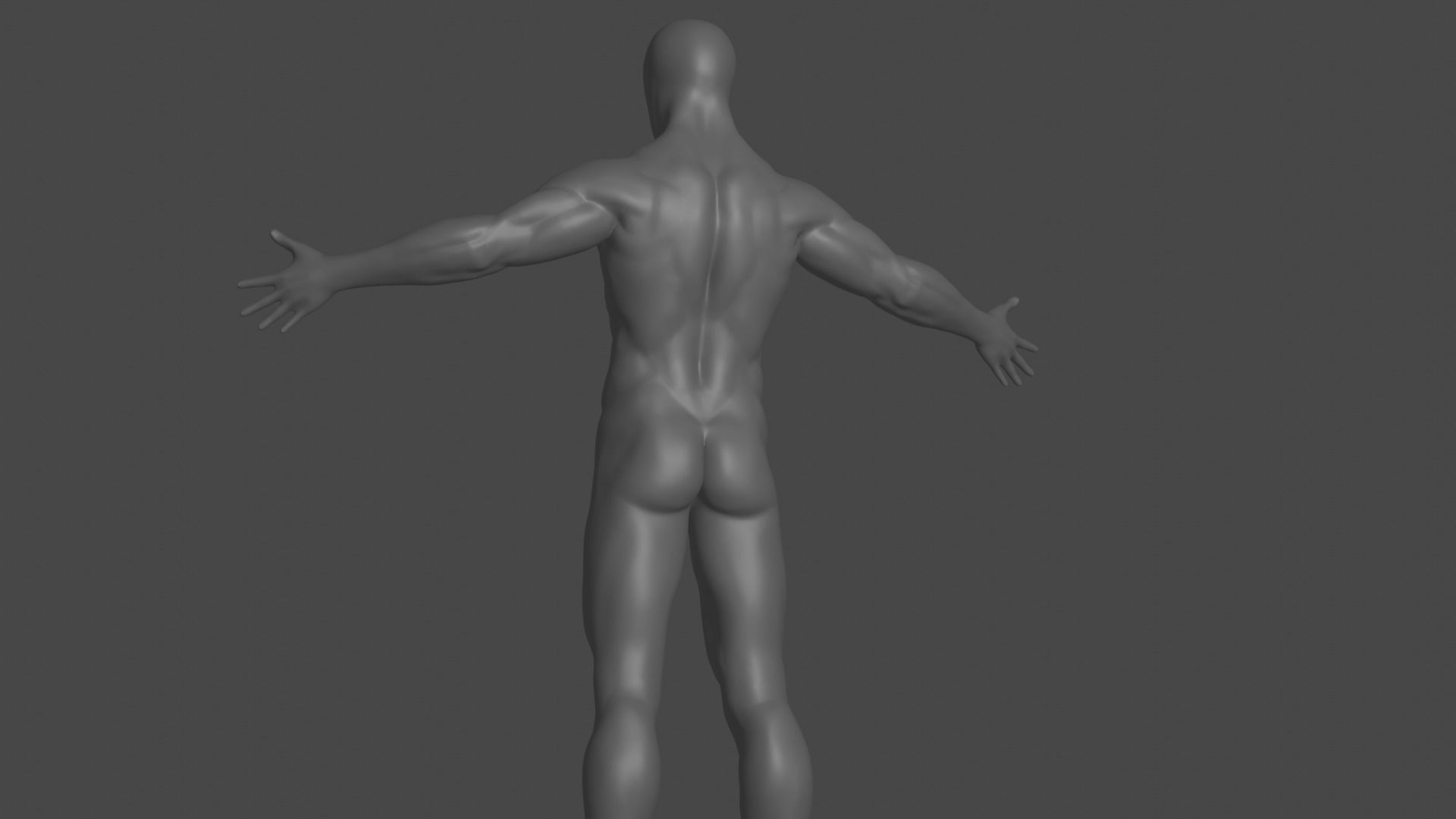Male Base Body Free 3D model_1
