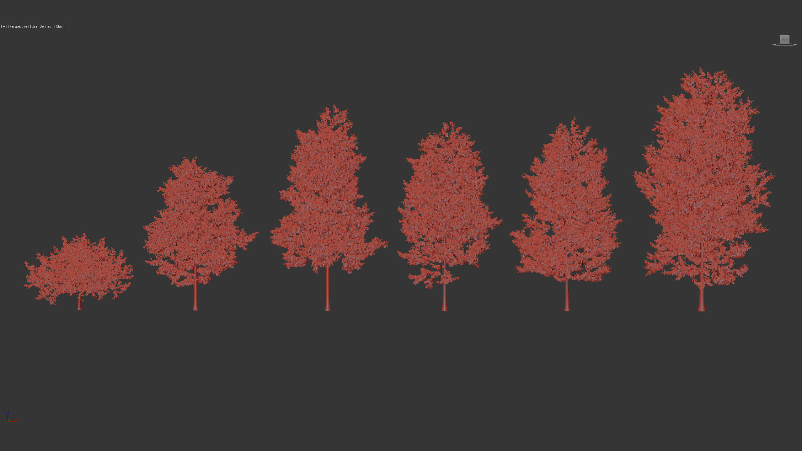 Corylus colurna Turkish hazel 01 3D model_9