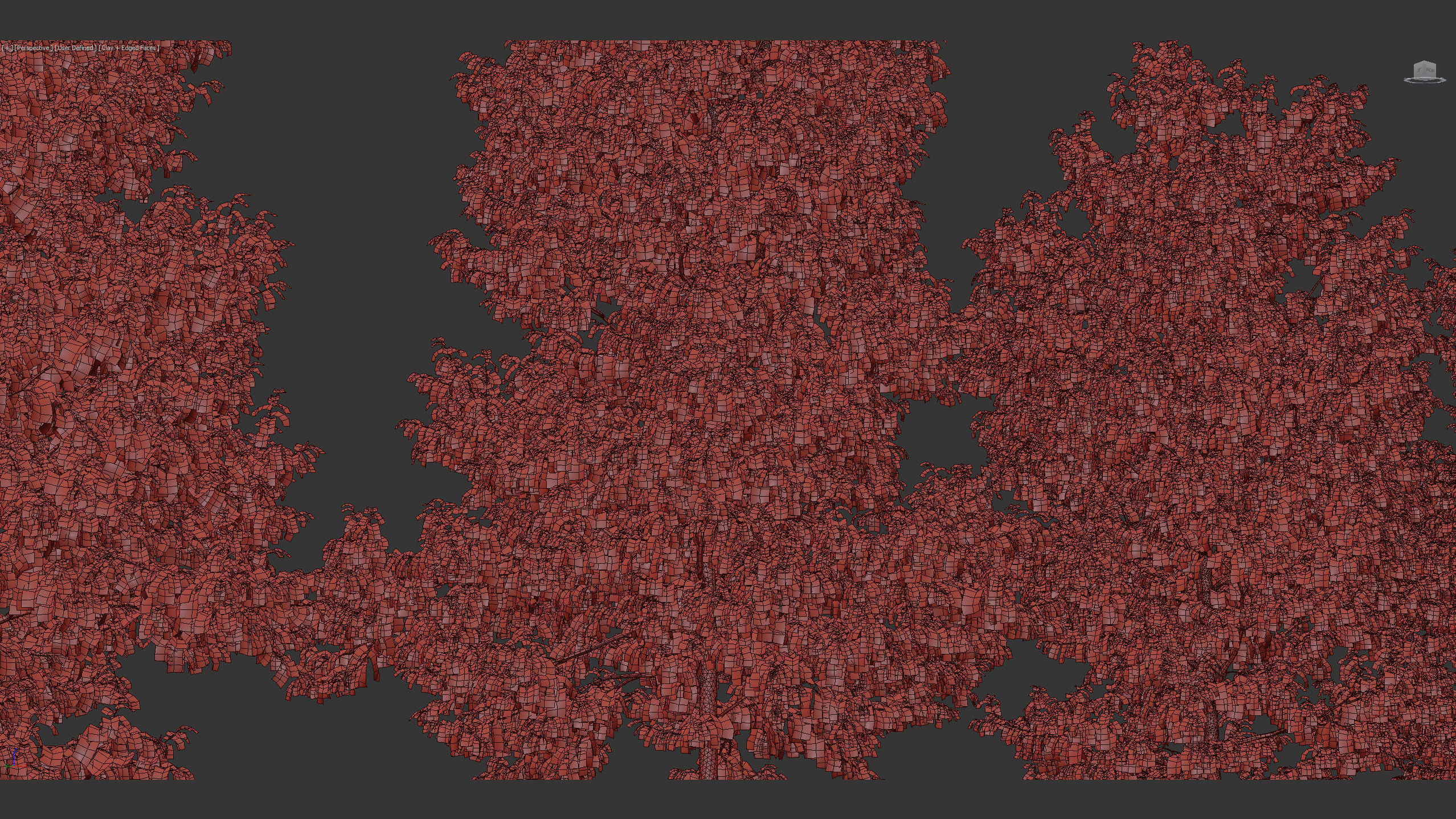 Corylus colurna Turkish hazel 01 3D model_11