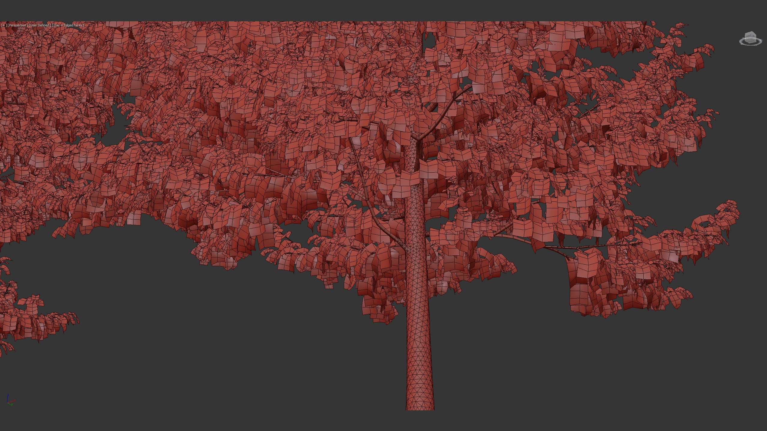 Corylus colurna Turkish hazel 01 3D model_13