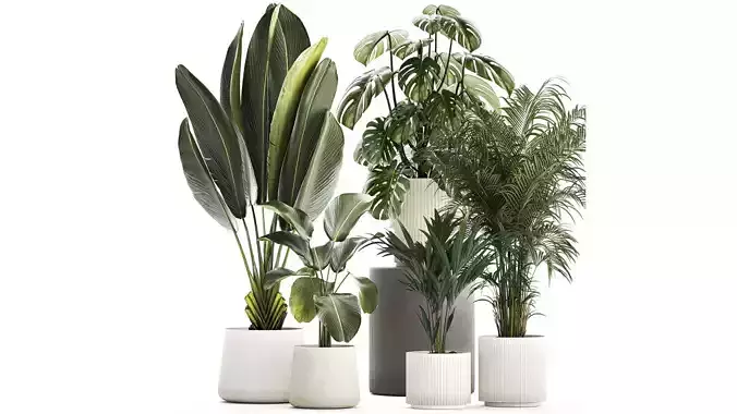 Set of beautiful plants in a flower pot for decor 1320
