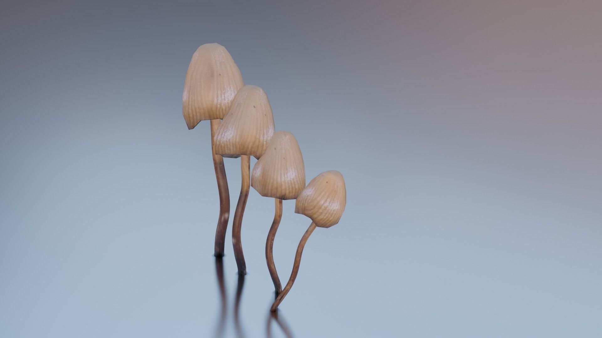 Magic Mushrooms Low-poly 3D model_7