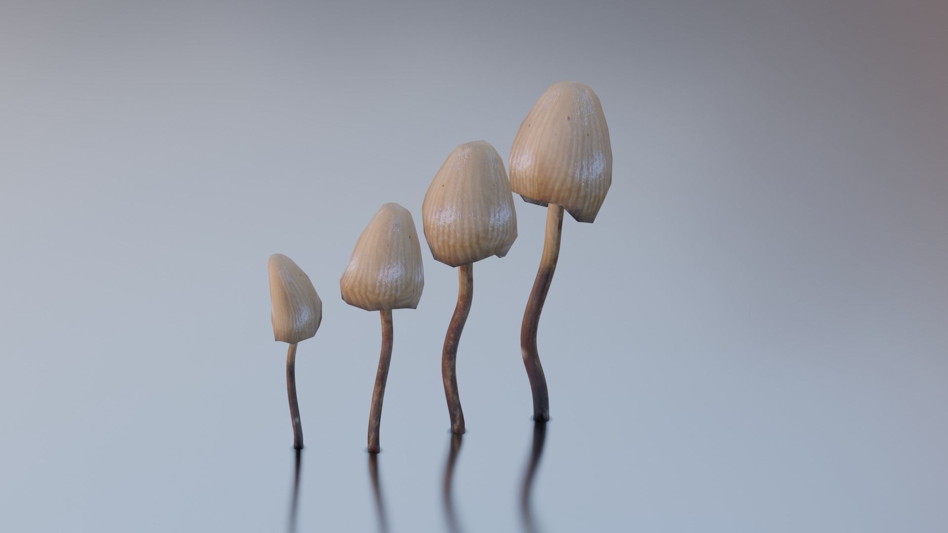 Magic Mushrooms Low-poly 3D model_6
