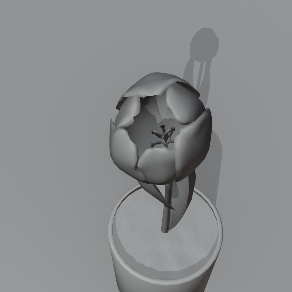Flower in vase Tulip Low-poly 3D model_8