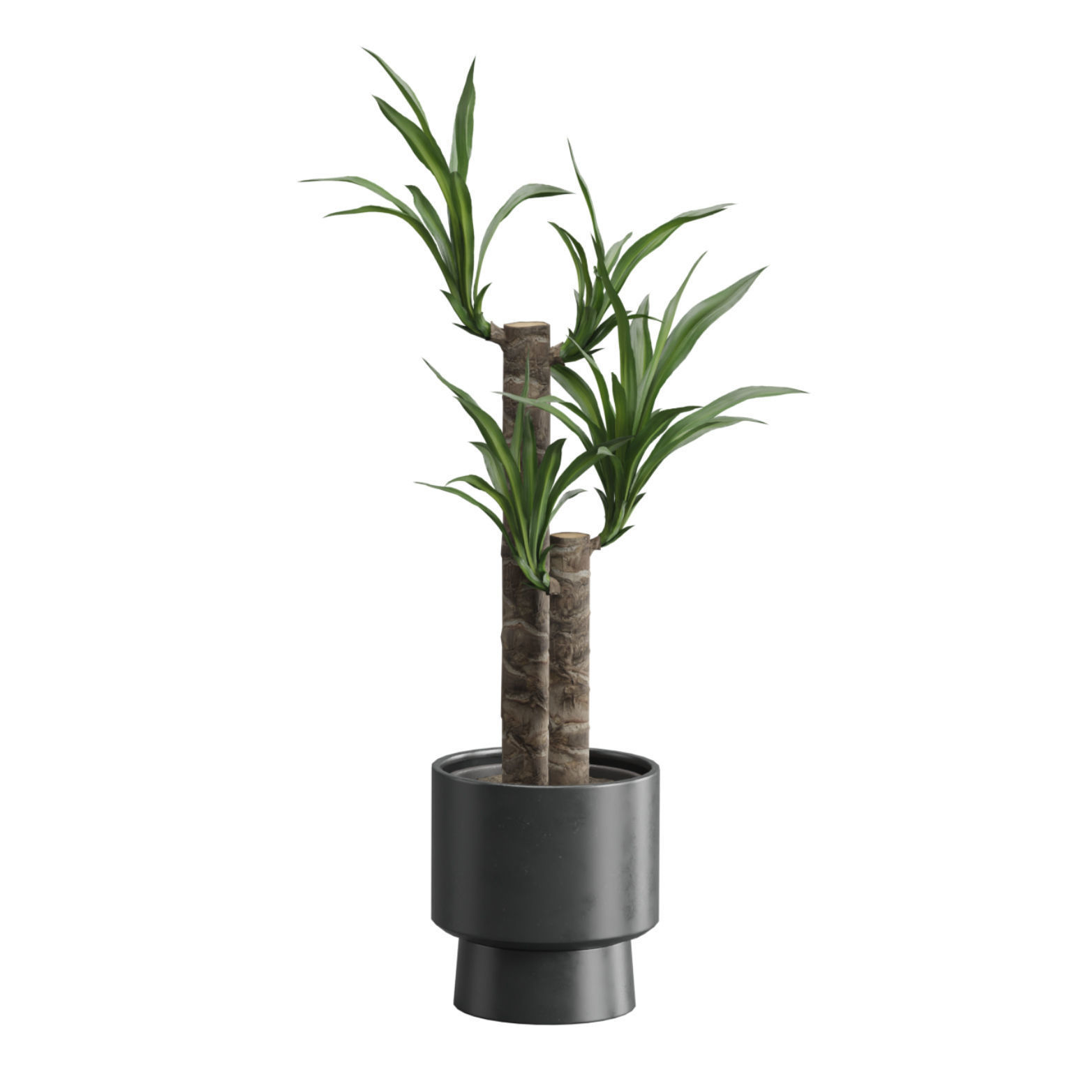 Indoor Plants Pack 51 3D model_11