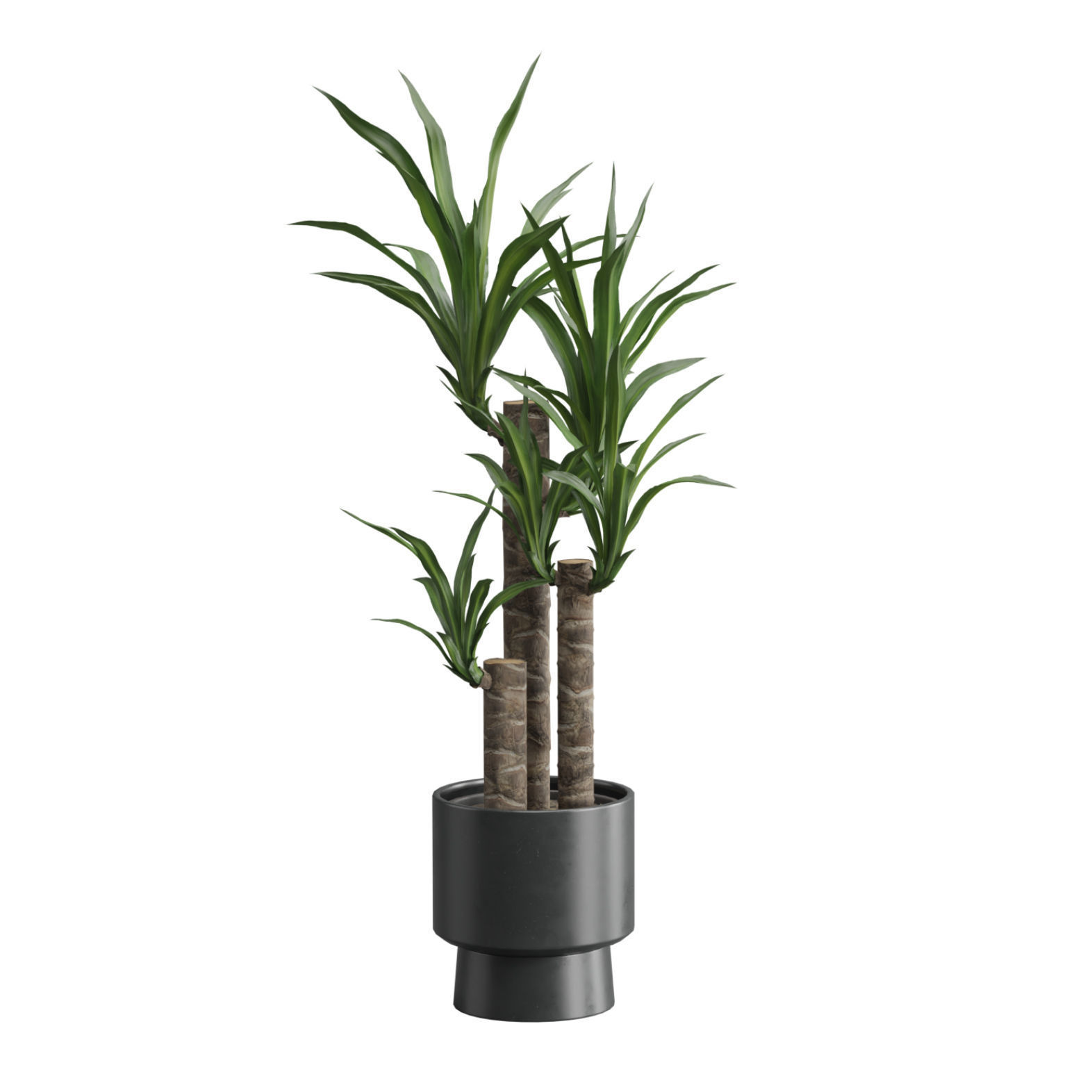 Indoor Plants Pack 51 3D model_7