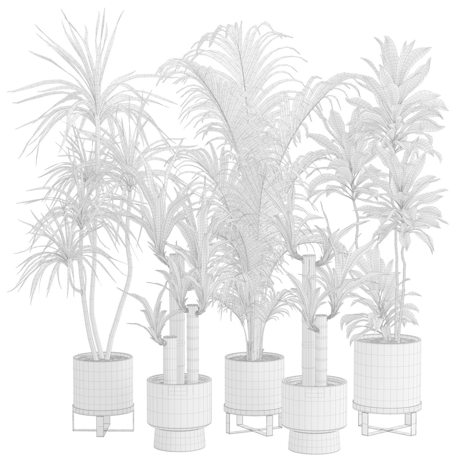 Indoor Plants Pack 51 3D model_1
