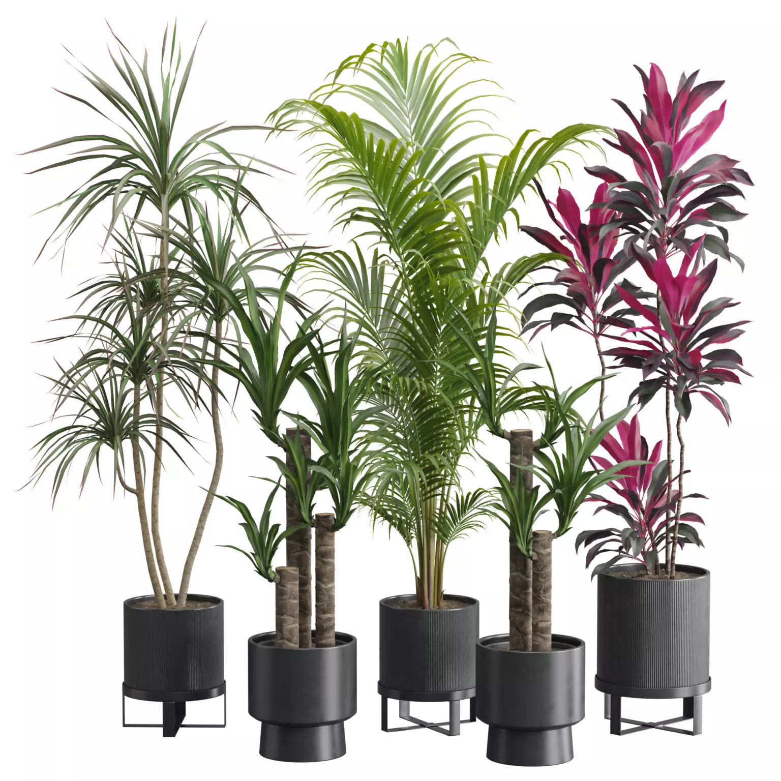 Indoor Plants Pack 51 3D model_0