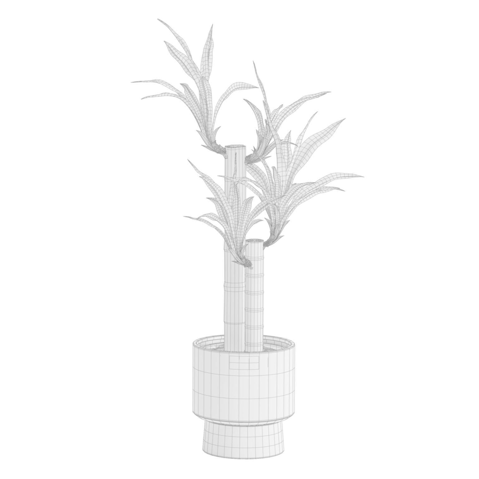 Indoor Plants Pack 51 3D model_12