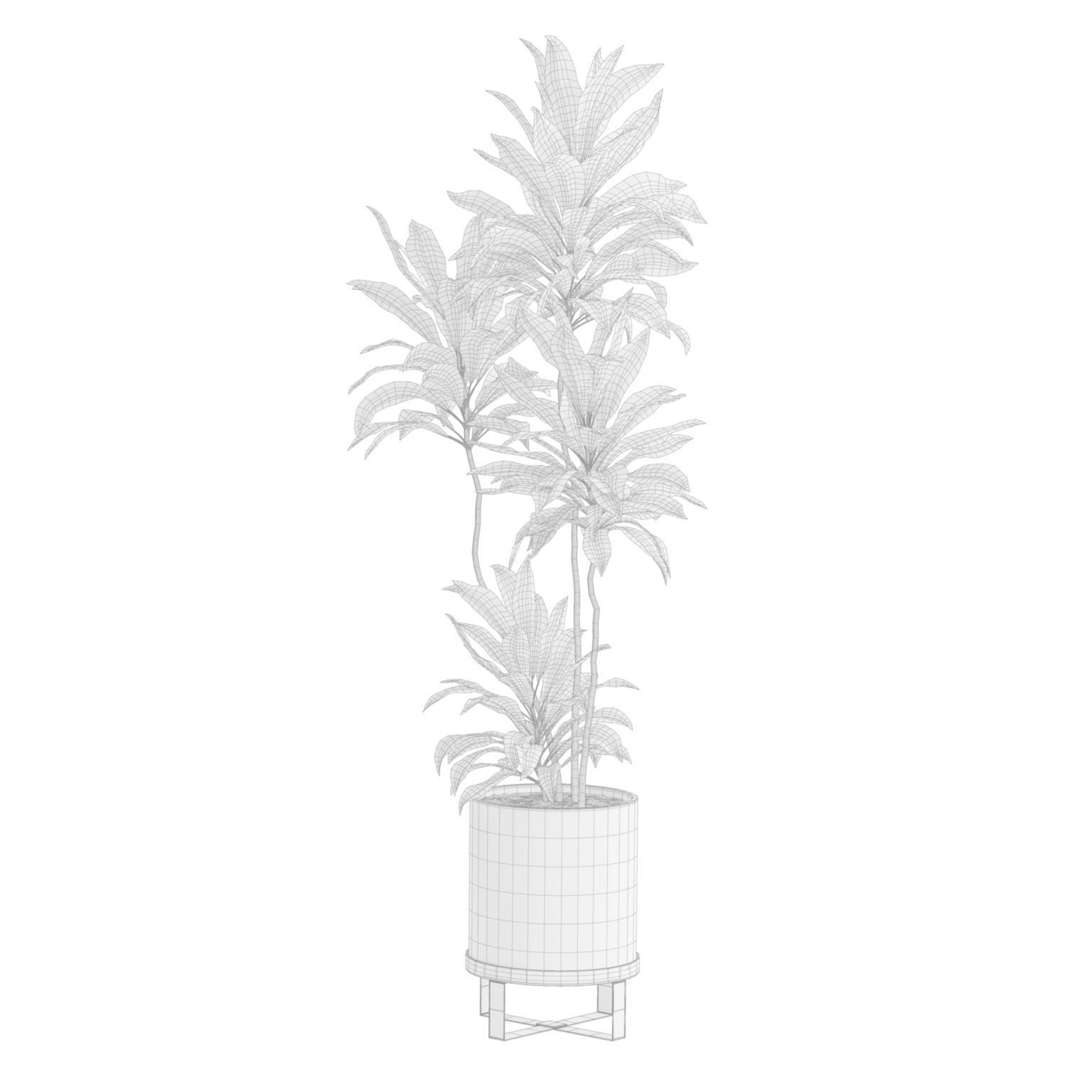 Indoor Plants Pack 51 3D model_4